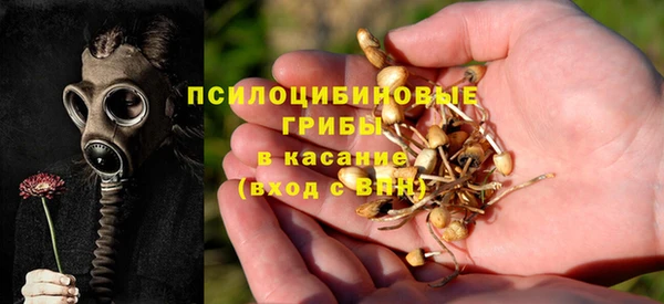 таблы Надым