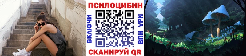 Галлюциногенные грибы Psilocybe  Петровск-Забайкальский 